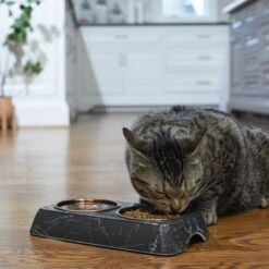 Frisco Copper Stainless Steel Double Dog & Cat Bowls With Black Marble Stand -Frisco Sales Store 253058 PT2. AC SS1800 V1616594213