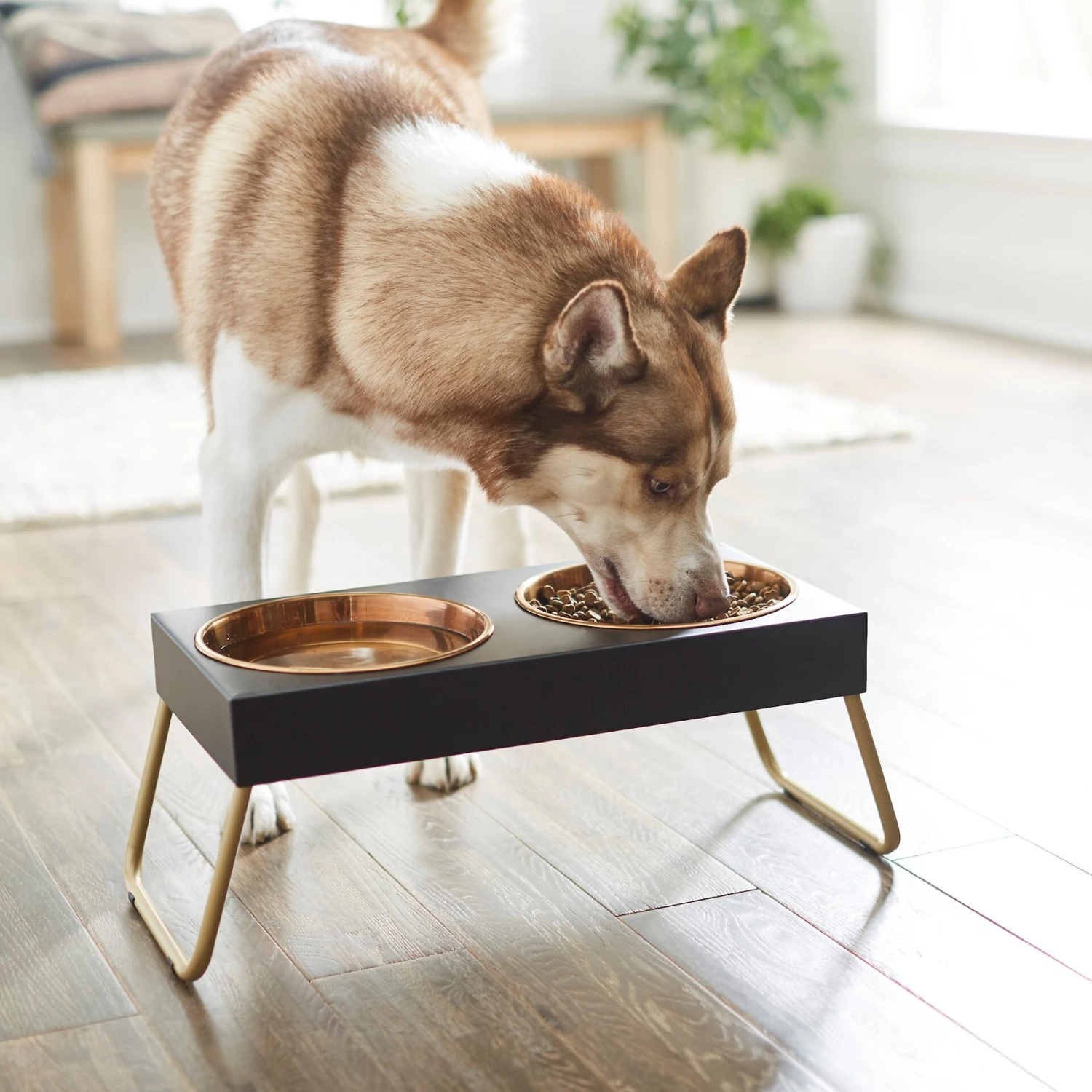 Frisco Copper Stainless Steel Elevated Foldable Double Dog & Cat Bowls Frisco Copper Stainless Steel Elevated Foldable Double Dog & Cat Bowls -Frisco Sales Store 253060 PT2. AC SS1800 V1616594243