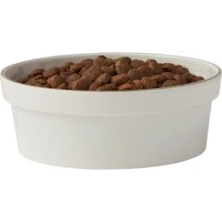 Frisco Gold Trim Melamine Dog & Cat Bowl 3 Frisco Gold Trim Melamine Dog & Cat Bowl -Frisco Sales Store 253062 PT3. AC SS1800 V1616595685