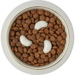 Frisco Melamine Slow Feed Dog & Cat Bowl With Gold Trim -Frisco Sales Store 253066 PT5. AC SS1800 V1616597830
