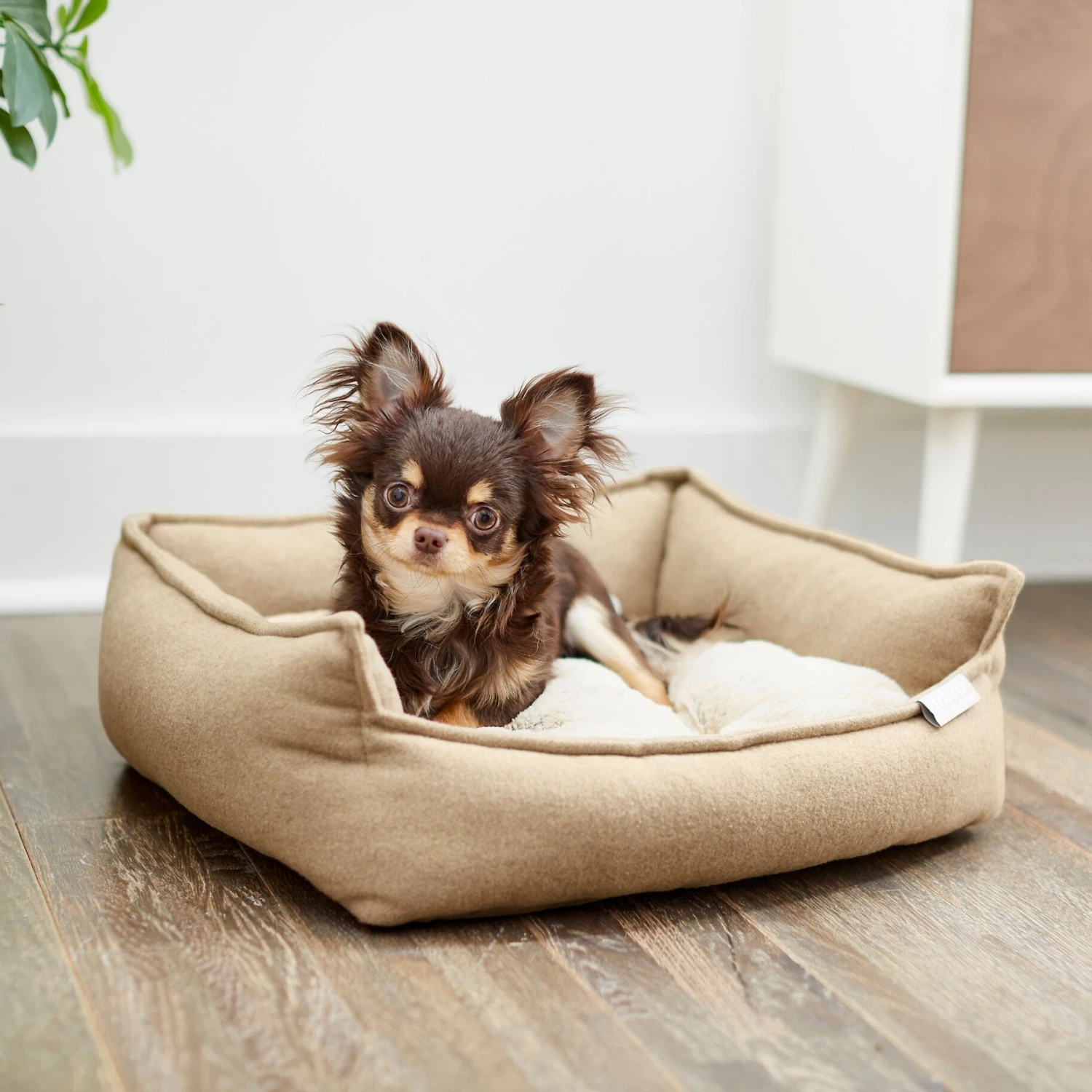 Frisco Faux Felt Flange Edge Bolster Cat & Dog Bed Frisco Faux Felt Flange Edge Bolster Cat & Dog Bed -Frisco Sales Store 255166 MAIN. AC SS1800 V1616011345