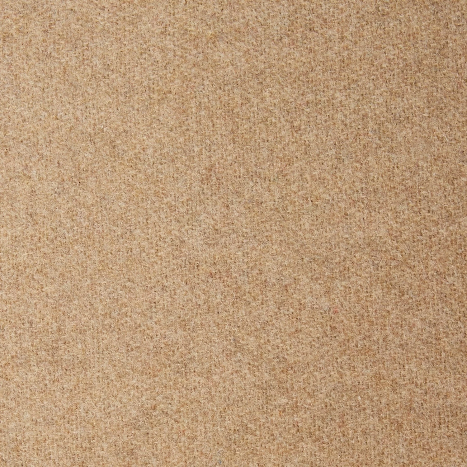 Frisco Faux Felt Flange Edge Bolster Cat & Dog Bed Frisco Faux Felt Flange Edge Bolster Cat & Dog Bed -Frisco Sales Store 255166 PT6. AC SS1800 V1616012498