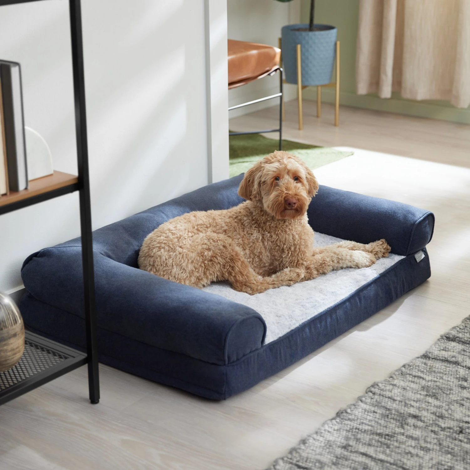 Frisco Faux Felt Orthopedic Sofa Bolster Dog Bed w/Removable Cover Frisco Faux Felt Orthopedic Sofa Bolster Dog Bed W/Removable Cover -Frisco Sales Store 255183 MAIN. AC SS1800 V1651777947