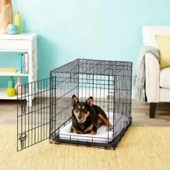 Frisco Heavy Duty Fold & Carry Single Door Collapsible Wire Dog Crate & Frisco Quilted Dog Crate Mat -Frisco Sales Store 255551 PT2. AC SS1800 V1604096511