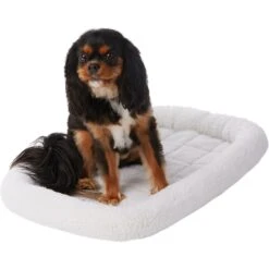 Frisco Heavy Duty Fold & Carry Single Door Collapsible Wire Dog Crate & Frisco Quilted Dog Crate Mat -Frisco Sales Store 255551 PT4. AC SS1800 V1604096523