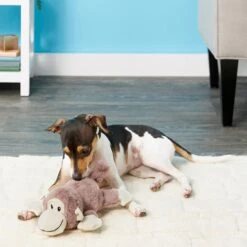 Frisco Monkey Plush Squeaky Dog Toy & Frisco Fox Plush Squeaky Dog Toy 2 Frisco Monkey Plush Squeaky Dog Toy & Frisco Fox Plush Squeaky Dog Toy -Frisco Sales Store 255597 PT2. AC SS1800 V1602702685