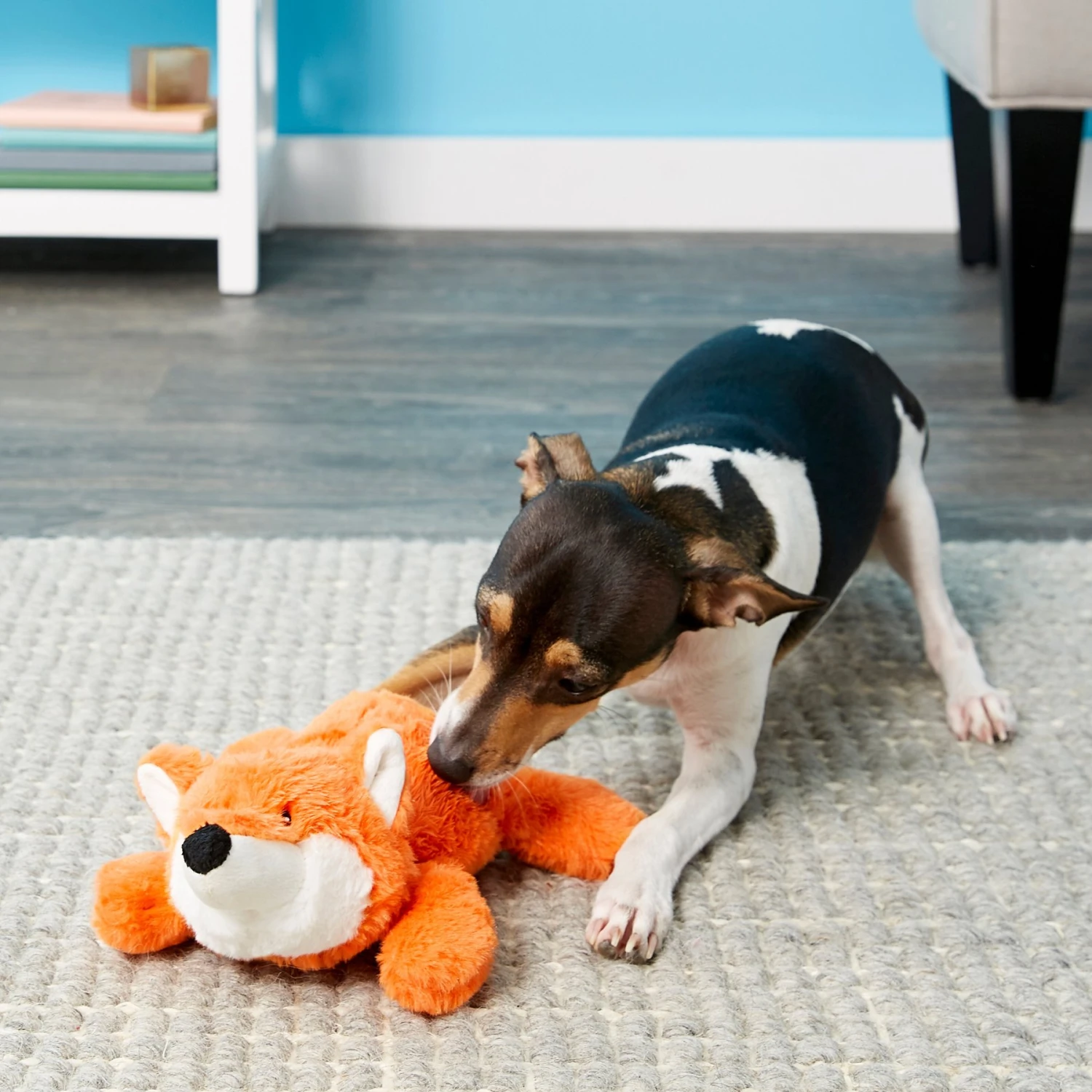 Frisco Monkey Plush Squeaky Dog Toy & Frisco Fox Plush Squeaky Dog Toy Frisco Monkey Plush Squeaky Dog Toy & Frisco Fox Plush Squeaky Dog Toy -Frisco Sales Store 255597 PT4. AC SS1800 V1602702976