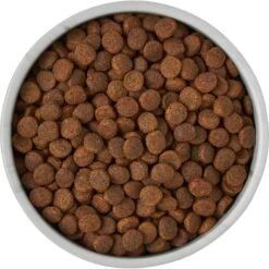 Frisco Marble Design Non-skid Ceramic Dog & Cat Bowl -Frisco Sales Store 256056 PT6. AC SS1800 V1615310860