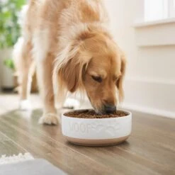 Frisco Paw Prints Non-skid Ceramic Bowl -Frisco Sales Store 256072 PT2. AC SS1800 V1615311738