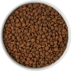 Frisco Paw Prints Non-skid Ceramic Bowl -Frisco Sales Store 256072 PT5. AC SS1800 V1615312318