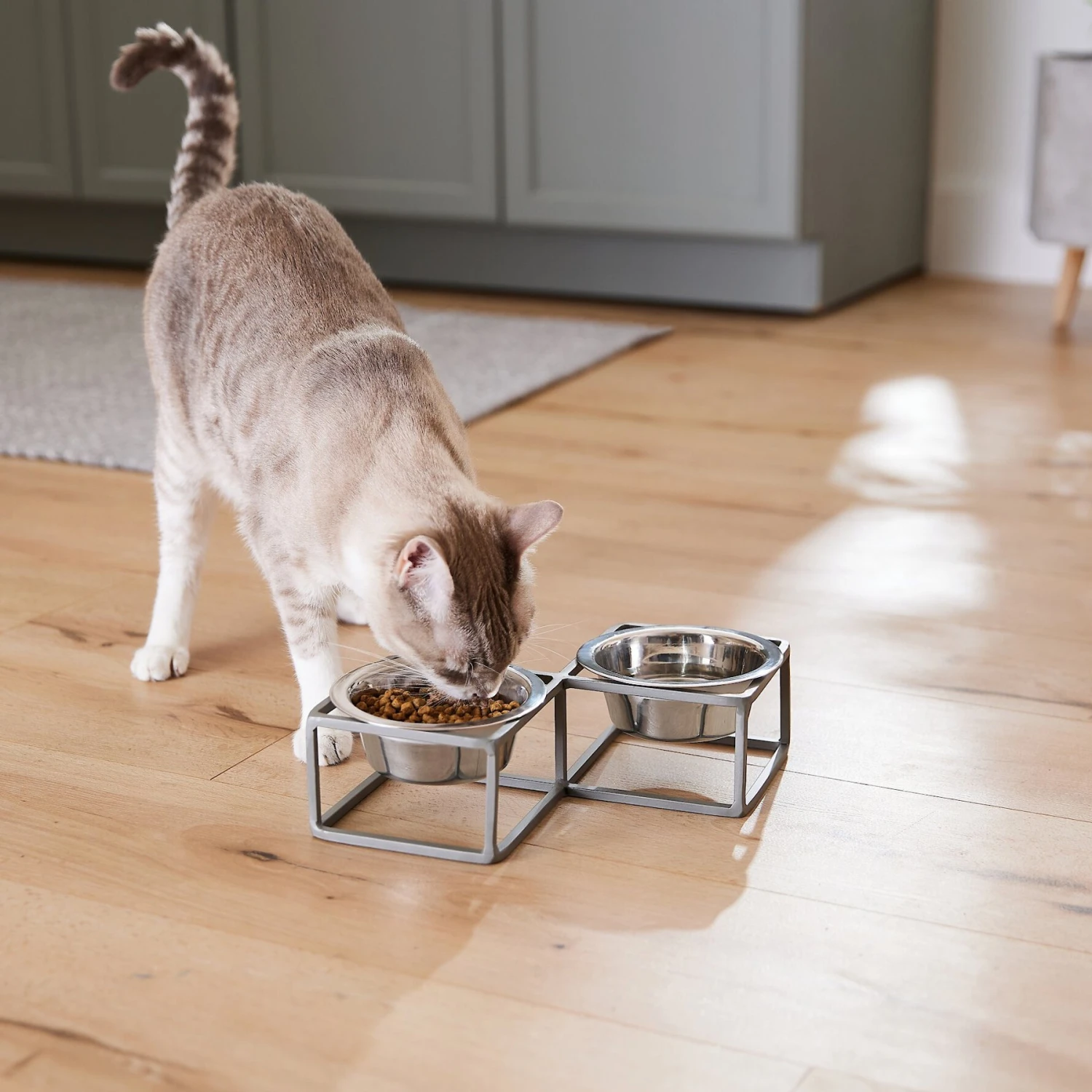 Frisco Elevated Diamond Stainless Steel Double Diner Dog & Cat Bowl Frisco Elevated Diamond Stainless Steel Double Diner Dog & Cat Bowl -Frisco Sales Store 257147 PT5. AC SS1800 V1615989105