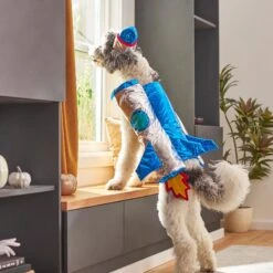 Frisco Rocket Ship Dog & Cat Costume -Frisco Sales Store 260904 PT8. AC SS1800 V1624400386