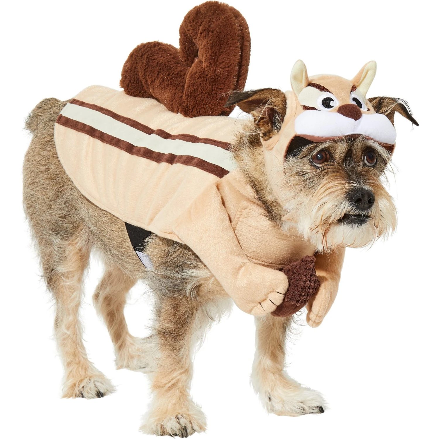 Frisco Chipmunk Dog & Cat Costume Frisco Chipmunk Dog & Cat Costume -Frisco Sales Store 261049 MAIN. AC SS1800 V1624335174