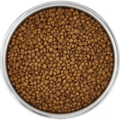 Frisco Insulated Non-Skid Stainless Steel Dog & Cat Bowl 4 Frisco Insulated Non-Skid Stainless Steel Dog & Cat Bowl -Frisco Sales Store 261757 PT4. AC SS1800 V1623937392