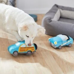 Frisco Road Trip Cruisers Plush Squeaky Dog Toy, 2 Count -Frisco Sales Store 261982 PT3. AC SS1800 V1618598560