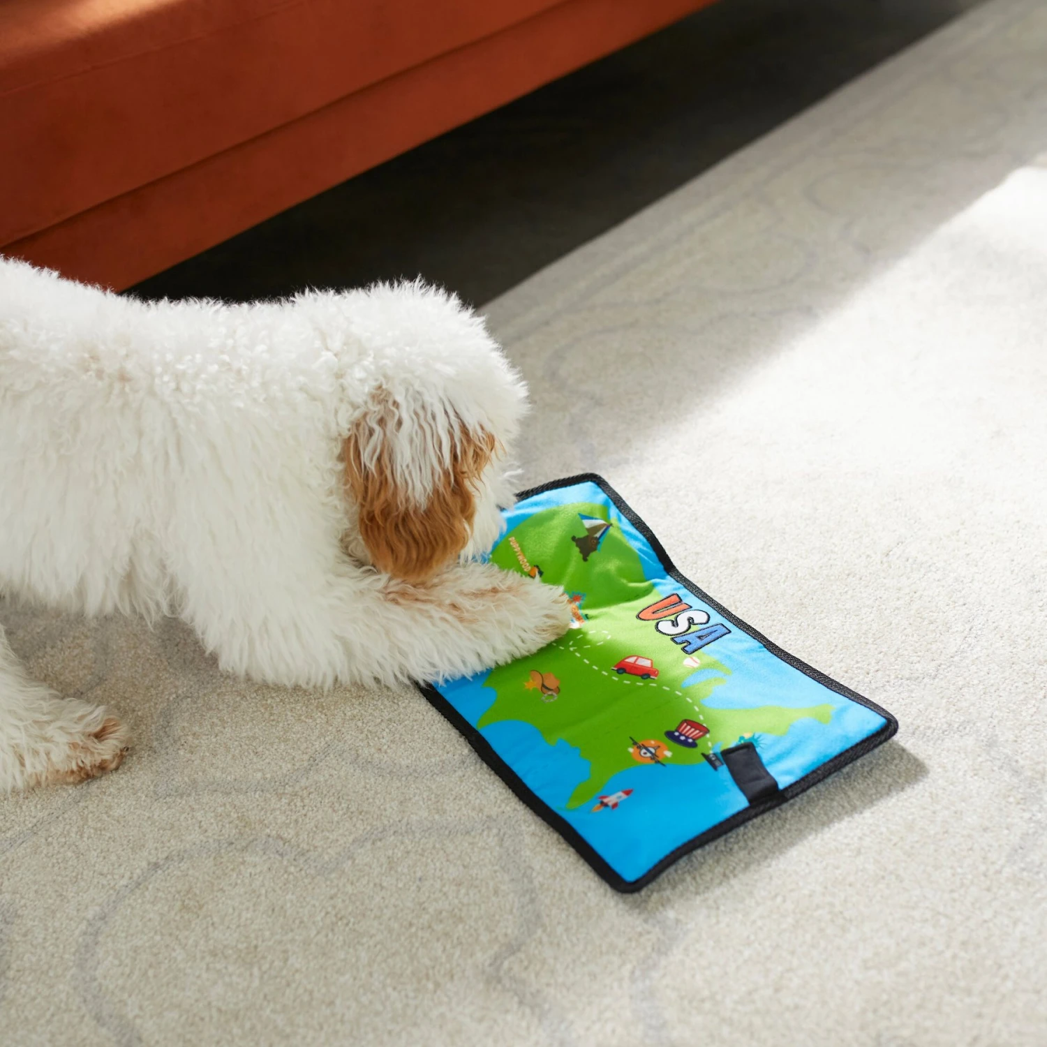 Frisco Road Trip Foldable Map Flat Plush Squeaky Dog Toy Frisco Road Trip Foldable Map Flat Plush Squeaky Dog Toy -Frisco Sales Store 261998 PT4. AC SS1800 V1619791937