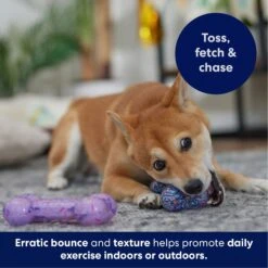 Frisco Birthday TPR Fetch Bone Squeaky Dog Toy 4 Frisco Birthday TPR Fetch Bone Squeaky Dog Toy -Frisco Sales Store 264422 PT4. AC SS1800 V1695760988