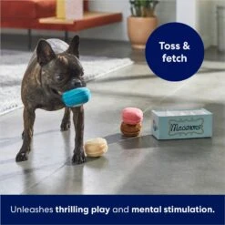 Frisco Macaron Interactive Plush Squeaky Dog Toy -Frisco Sales Store 264438 PT5. AC SS1800 V1686579089