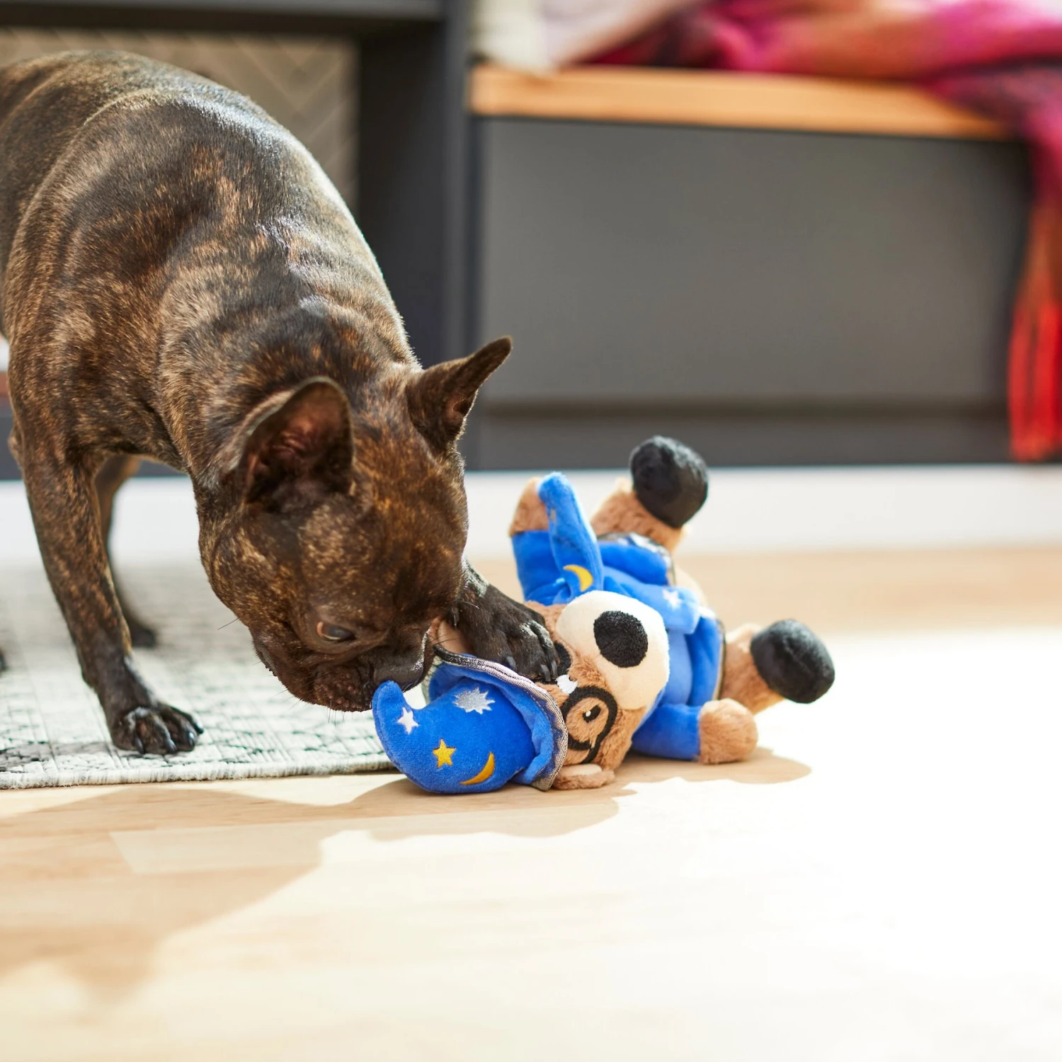 Frisco Magic Wizard Bear Plush Squeaky Dog Toy Frisco Magic Wizard Bear Plush Squeaky Dog Toy -Frisco Sales Store 265604 PT3. AC SS1800 V1623352109