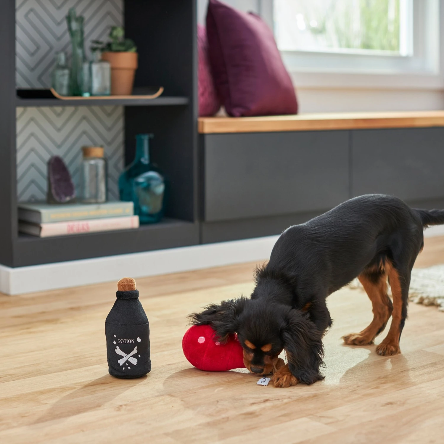 Frisco Magic Potions Plush Squeaky Dog Toy Frisco Magic Potions Plush Squeaky Dog Toy -Frisco Sales Store 265618 PT3. AC SS1800 V1620939183