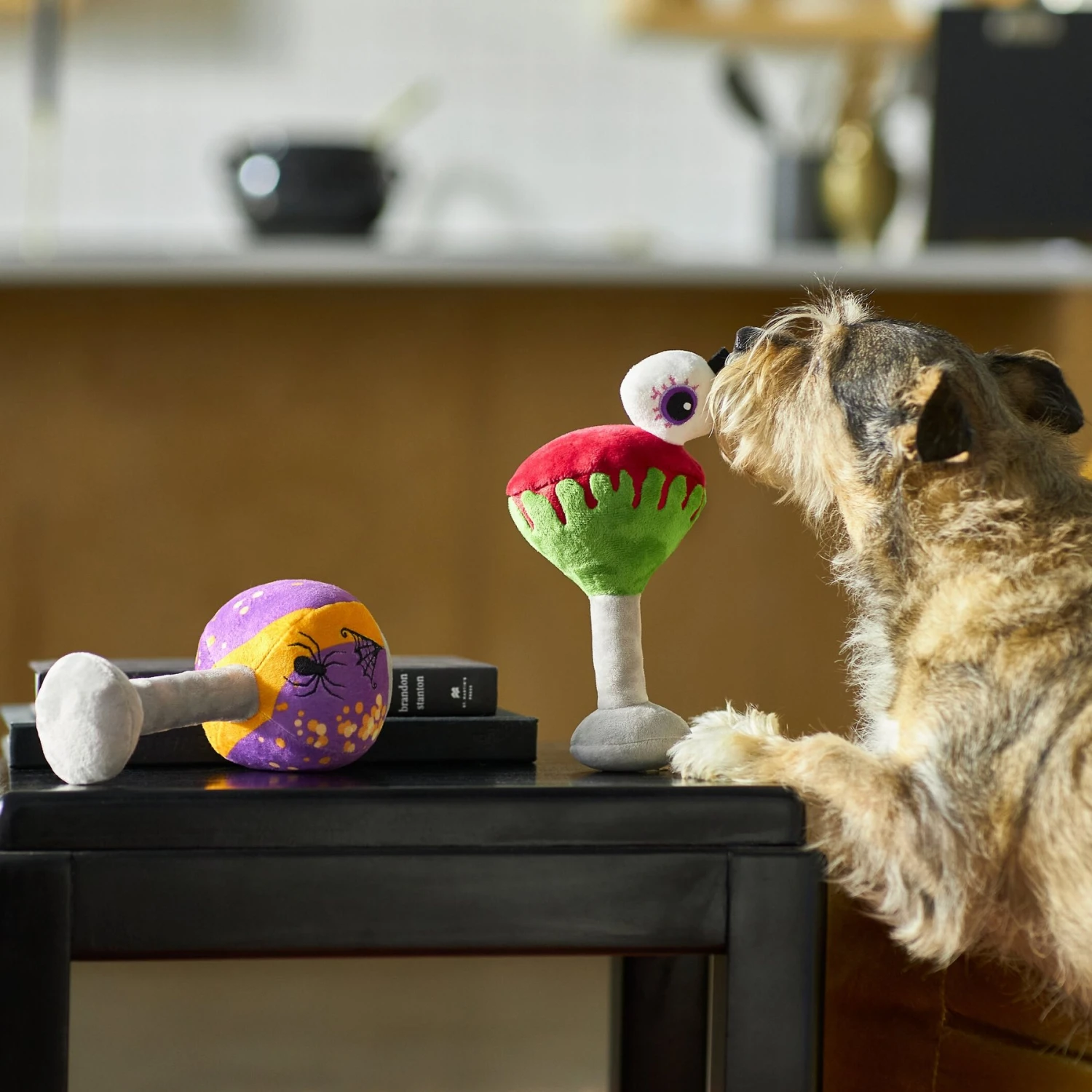 Frisco Halloween Cocktail Plush Squeaky Dog Toy Frisco Halloween Cocktail Plush Squeaky Dog Toy -Frisco Sales Store 270361 PT3. AC SS1800 V1624817495