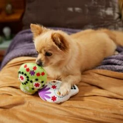 Frisco Halloween Day Of The Dead Sugar Skull Plush Squeaky Dog Toy, 2 Count 2 Frisco Halloween Day Of The Dead Sugar Skull Plush Squeaky Dog Toy, 2 Count -Frisco Sales Store 270443 PT3. AC SS1800 V1624824826