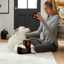 Frisco Halloween 30 Days Of Halloween Countdown Blocks Plush Squeaky Dog Toy 2 Frisco Halloween 30 Days Of Halloween Countdown Blocks Plush Squeaky Dog Toy -Frisco Sales Store 270494 PT3. AC SS1800 V1624817483