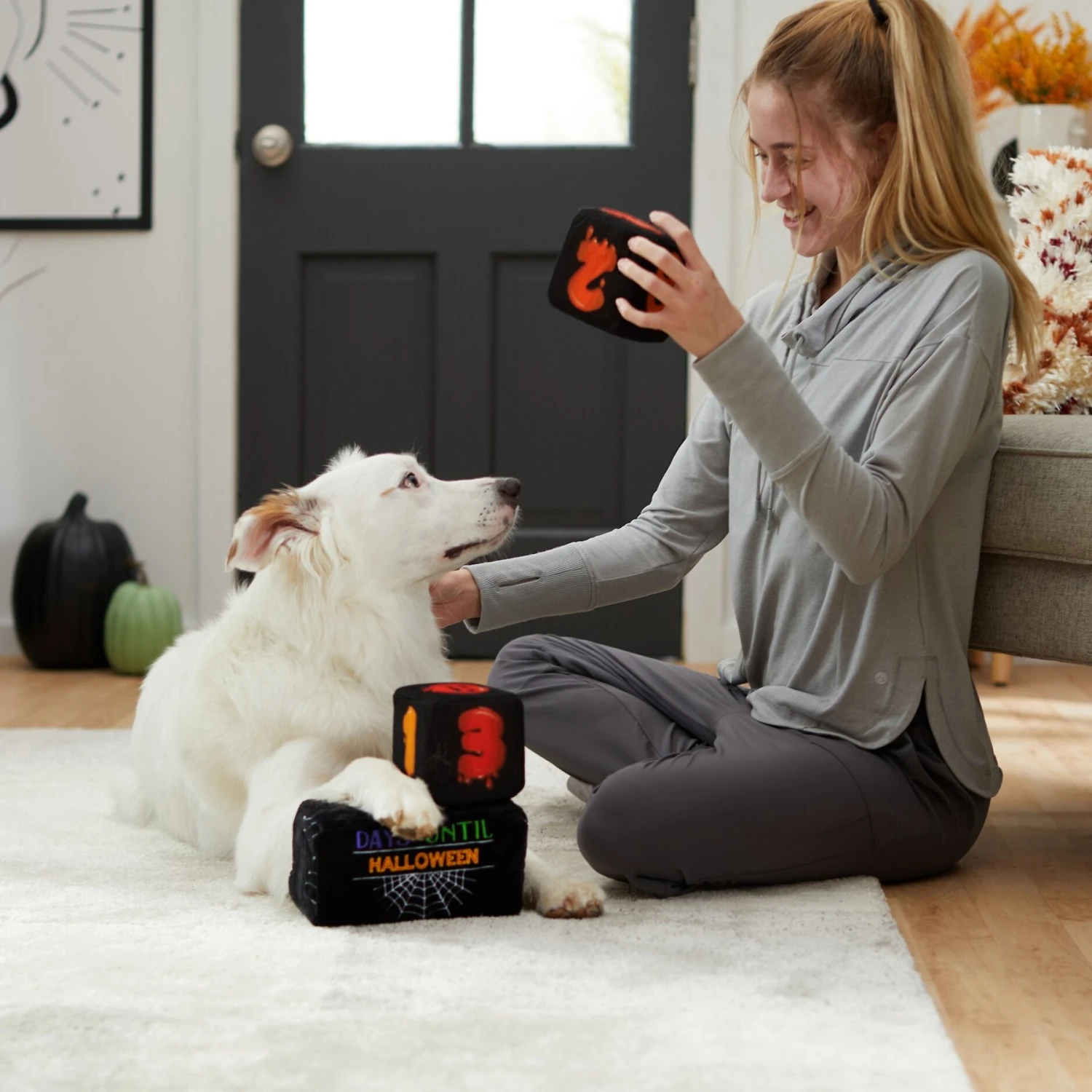 Frisco Halloween 30 Days of Halloween Countdown Blocks Plush Squeaky Dog Toy Frisco Halloween 30 Days Of Halloween Countdown Blocks Plush Squeaky Dog Toy -Frisco Sales Store 270494 PT3. AC SS1800 V1624817483