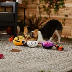Frisco Halloween Haunted Friends Plush With Rope Squeaky Dog Toy -Frisco Sales Store 270500 PT3. AC SS1800 V1624825043