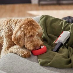 Frisco Halloween Vampire Teeth & Knife Latex Squeaky Dog Toy -Frisco Sales Store 270512 PT3. AC SS1800 V1624817093