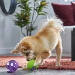 Frisco Halloween Sugar Skulls Latex Squeaky Dog Toy -Frisco Sales Store 270518 PT3. AC SS1800 V1689878507