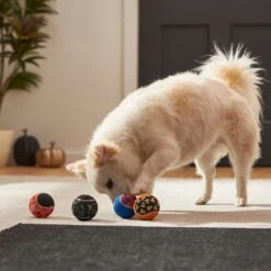 Frisco Halloween Glow In The Dark Fetch Squeaky Tennis Ball Dog Toy -Frisco Sales Store 270525 PT3. AC SS1800 V1624824980