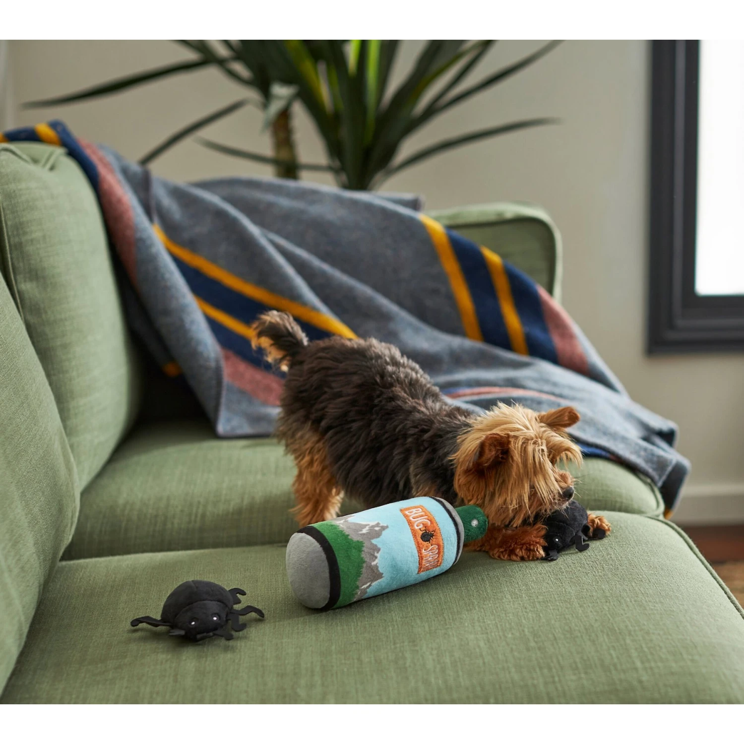 Frisco Camping Bug Spray Plush Squeaky Dog Toy, 3 count Frisco Camping Bug Spray Plush Squeaky Dog Toy, 3 Count -Frisco Sales Store 270989 PT3. AC SS1800 V1625009020