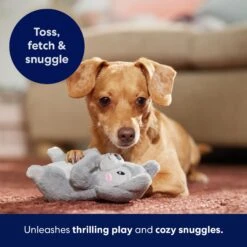 Frisco Camping Squirrel Plush Squeaky Dog Toy -Frisco Sales Store 271001 PT5. AC SS1800 V1691785245