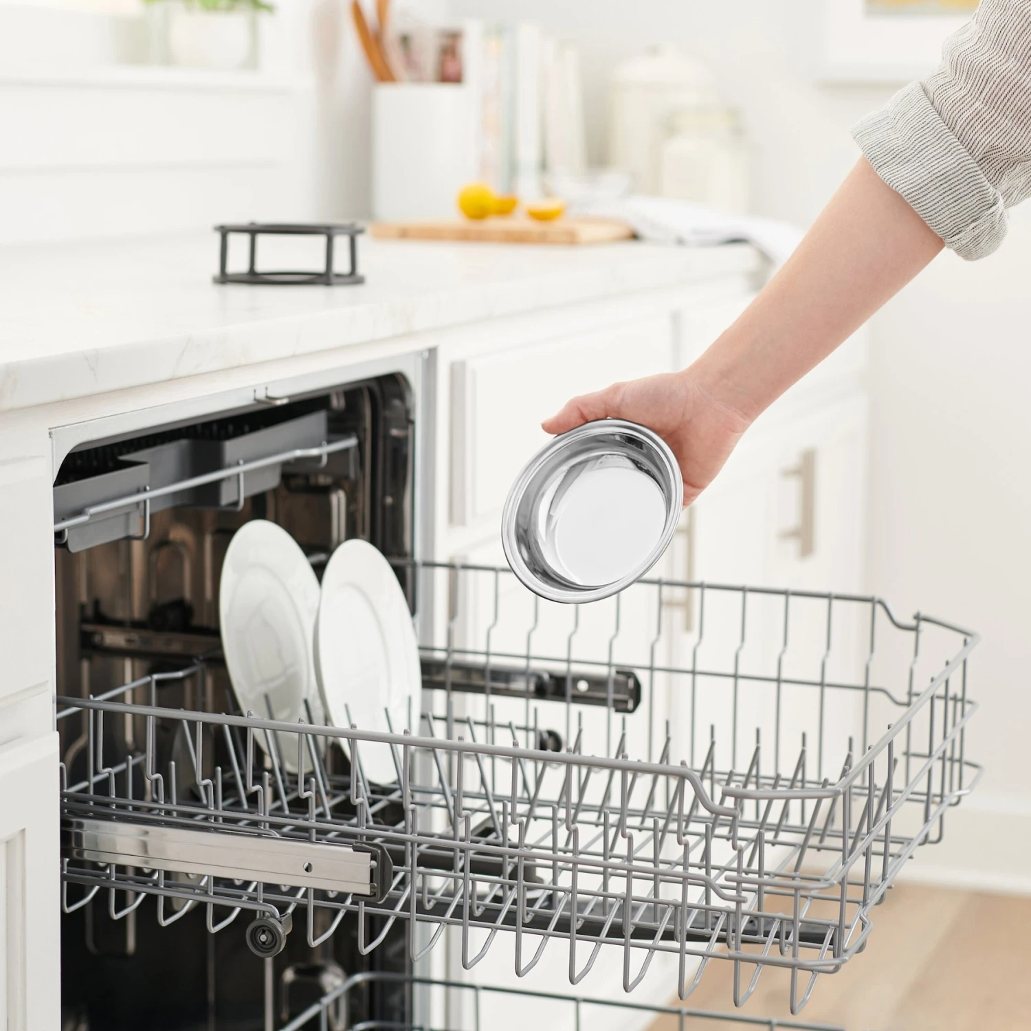 Frisco Elevated Stainless Steel Dish Cat Bowl, 1 Cup Frisco Elevated Stainless Steel Dish Cat Bowl, 1 Cup -Frisco Sales Store 277517 PT6. AC SS1800 V1630358088