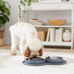 Frisco Silicone Stainless Steel Double Diner Slow Feeder Dog & Cat Bowl, Grey, 3 Cup 2 Frisco Silicone Stainless Steel Double Diner Slow Feeder Dog & Cat Bowl, Grey, 3 Cup -Frisco Sales Store 277549 PT2. AC SS1800 V1630346823
