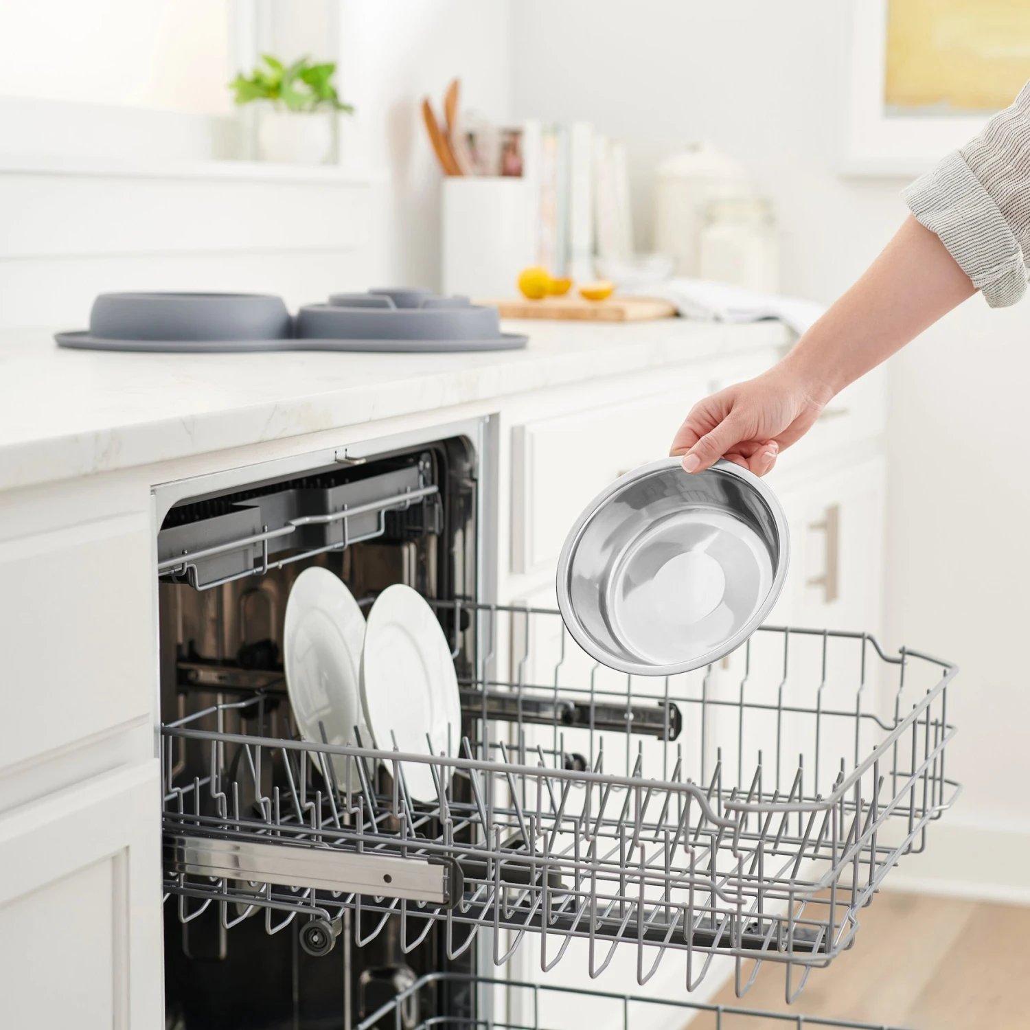 Frisco Silicone Stainless Steel Double Diner Slow Feeder Dog & Cat Bowl, Grey, 3 Cup Frisco Silicone Stainless Steel Double Diner Slow Feeder Dog & Cat Bowl, Grey, 3 Cup -Frisco Sales Store 277549 PT6. AC SS1800 V1630357992