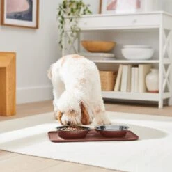 Frisco Silicone Stainless Steel Double Diner Dog & Cat Bowl, Brown 2 Frisco Silicone Stainless Steel Double Diner Dog & Cat Bowl, Brown -Frisco Sales Store 277551 PT2. AC SS1800 V1630346531