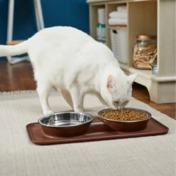 Frisco Silicone Stainless Steel Double Diner Dog & Cat Bowl, Brown 3 Frisco Silicone Stainless Steel Double Diner Dog & Cat Bowl, Brown -Frisco Sales Store 277551 PT3. AC SS1800 V1630348104
