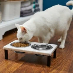 Frisco Marble Elevated Stainless Steel Double Diner Dog & Cat Bowls 3 Frisco Marble Elevated Stainless Steel Double Diner Dog & Cat Bowls -Frisco Sales Store 277559 PT3. AC SS1800 V1630347820