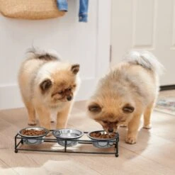 Frisco Multi Pet Feeding 3-Bowls Straight Stainless Steel Dog & Cat Bowl 2 Frisco Multi Pet Feeding 3-Bowls Straight Stainless Steel Dog & Cat Bowl -Frisco Sales Store 277568 PT2. AC SS1800 V1630346795