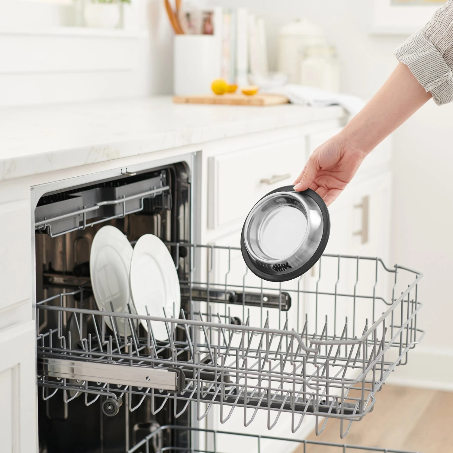 Frisco Fish Print Non-Skid Stainless Steel Dish Cat Bowl Frisco Fish Print Non-Skid Stainless Steel Dish Cat Bowl -Frisco Sales Store 277583 PT6. AC SS1800 V1630357494