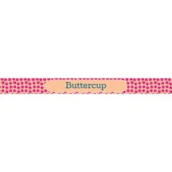 Frisco Personalized General Dog & Cat Small Dog Bowl -Frisco Sales Store 278924 PT2. AC SS1800 V1629146685