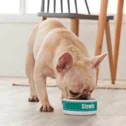 Frisco Personalized General Dog & Cat Small Dog Bowl -Frisco Sales Store 278924 PT3. AC SS1800 V1629147374