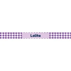 Frisco Personalized Gingham Plaid Dog Bowl -Frisco Sales Store 278926 PT2. AC SS1800 V1629146836