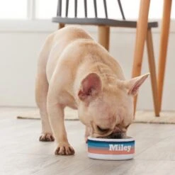 Frisco Personalized Watercolor Small Dog & Cat Bowl -Frisco Sales Store 278944 PT3. AC SS1800 V1629147733