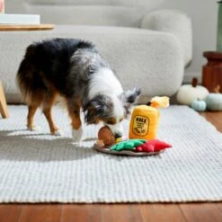 Frisco Fall Festive Candle Charger Plush Squeaky Dog Toy, 4 Count -Frisco Sales Store 285615 PT3. AC SS1800 V1629725135