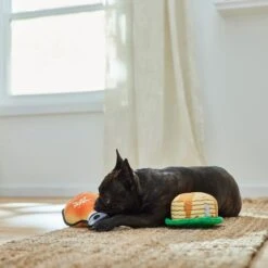 Frisco Fall Pancakes & Maple Syrup Plush Squeaky Dog Toy, 2 Count -Frisco Sales Store 285627 PT3. AC SS1800 V1629725170