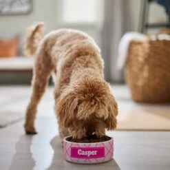 Frisco Personalized Plaid Ceramic Dog Bowl 4 Frisco Personalized Plaid Ceramic Dog Bowl -Frisco Sales Store 287013 PT4. AC SS1800 V1639518088