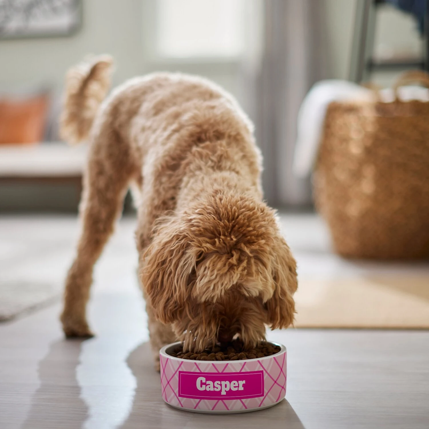 Frisco Personalized Plaid Ceramic Dog Bowl Frisco Personalized Plaid Ceramic Dog Bowl -Frisco Sales Store 287013 PT4. AC SS1800 V1639518088